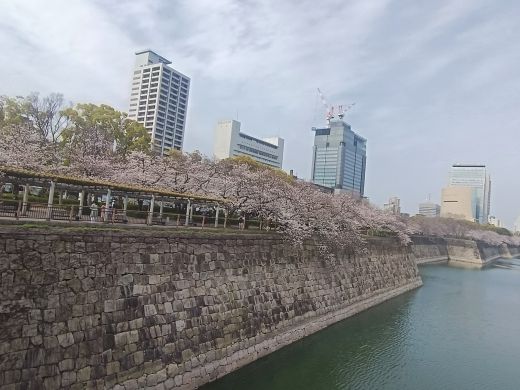 24053015355531832.jpg