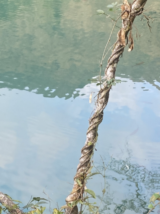 25051418143322454.png