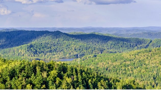 26061610565604289.jpg