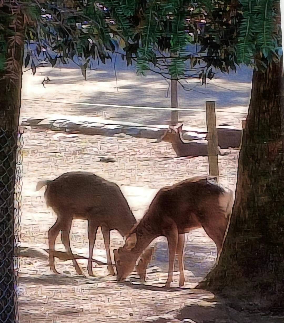24053015352450767.jpg