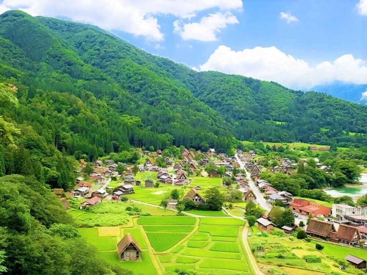 25050617231184911.jpg