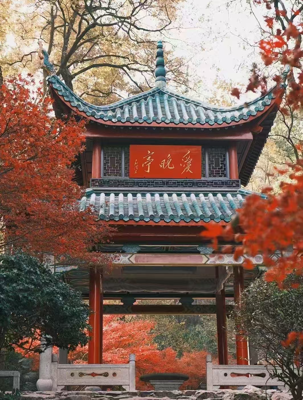 26041010371819073.jpg