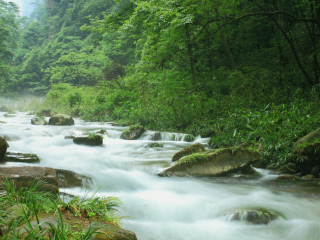 26052810293247392.jpg