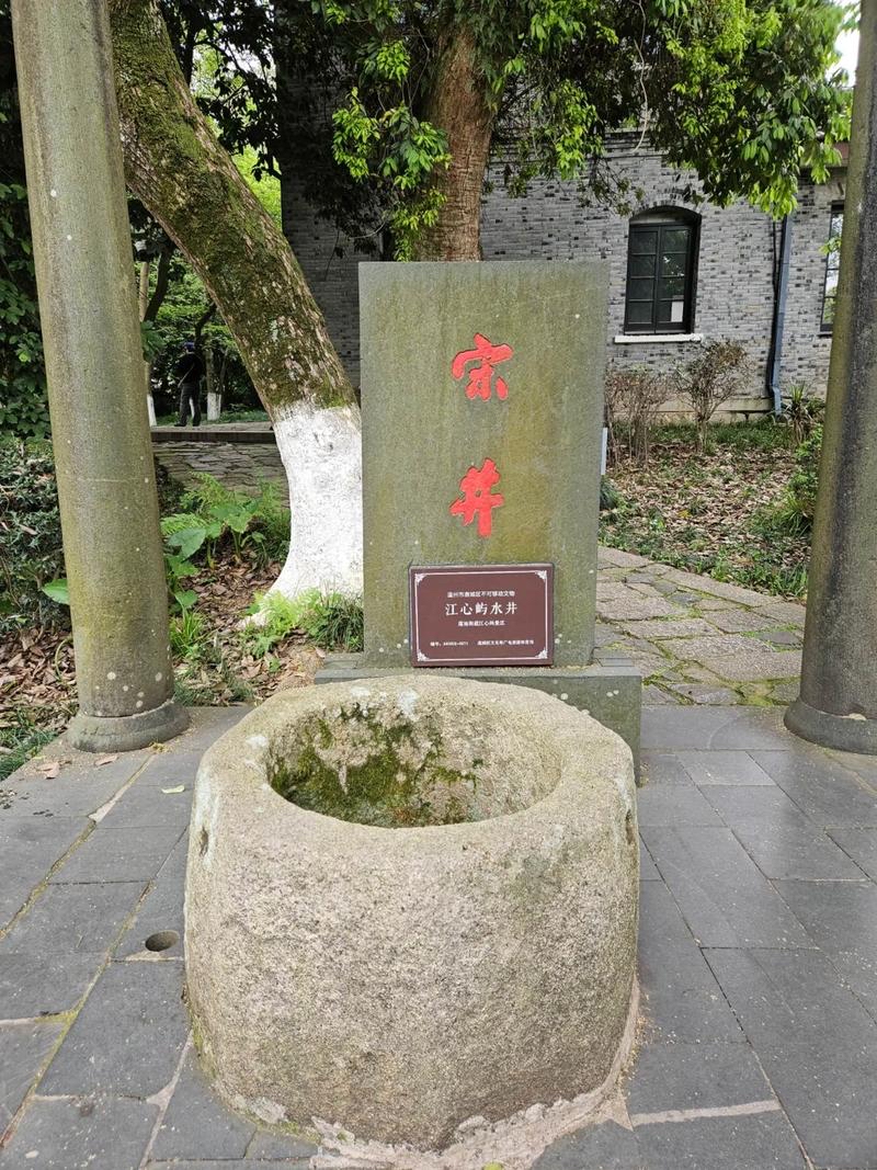 25062814232866830.jpg