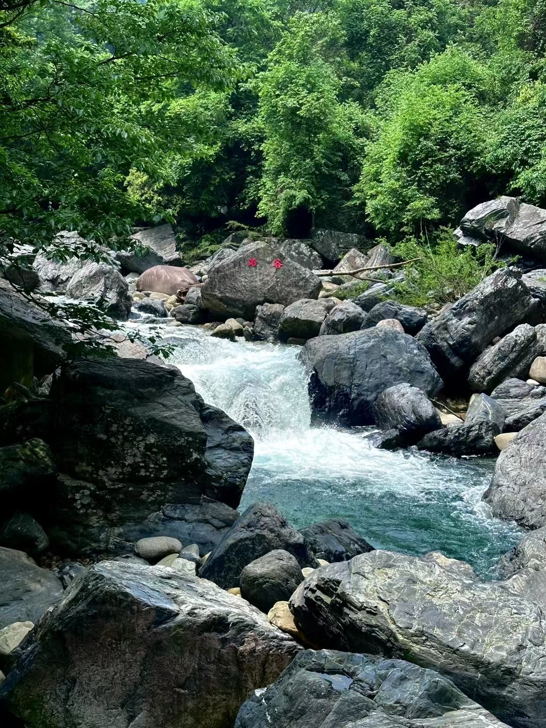 25072917115935937.jpg