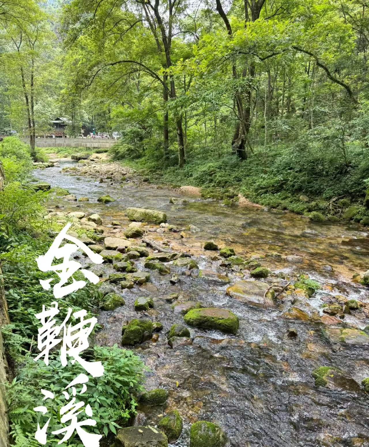 25042516074548781.jpg