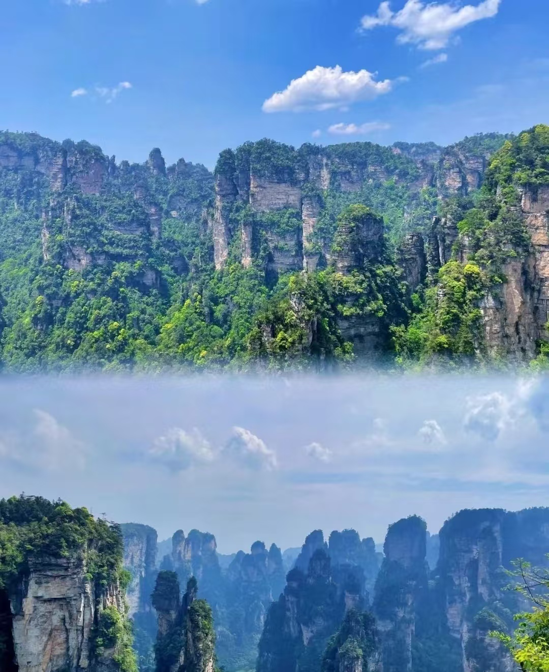 25050617292457038.jpg