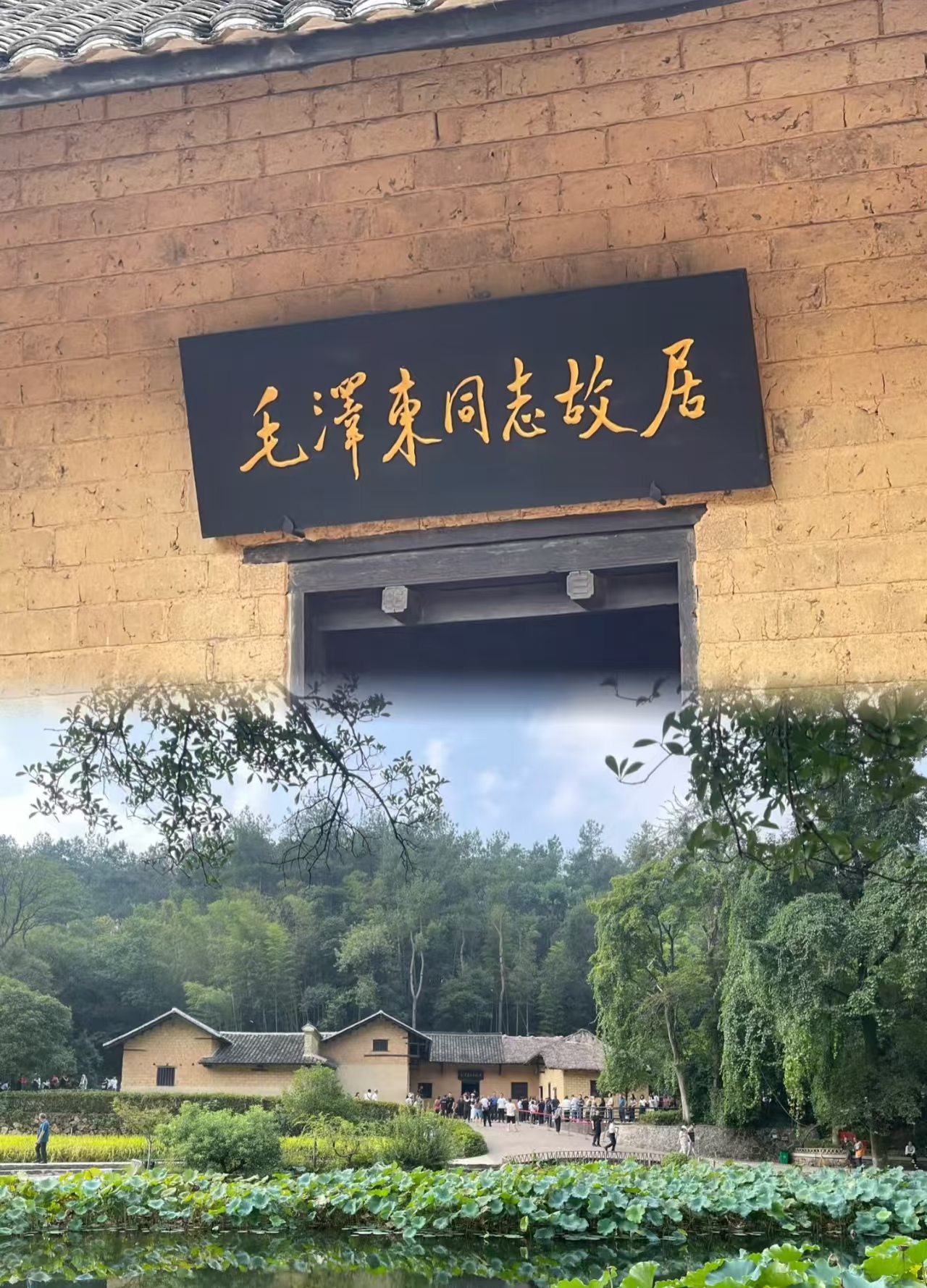 25061117150577273.jpg