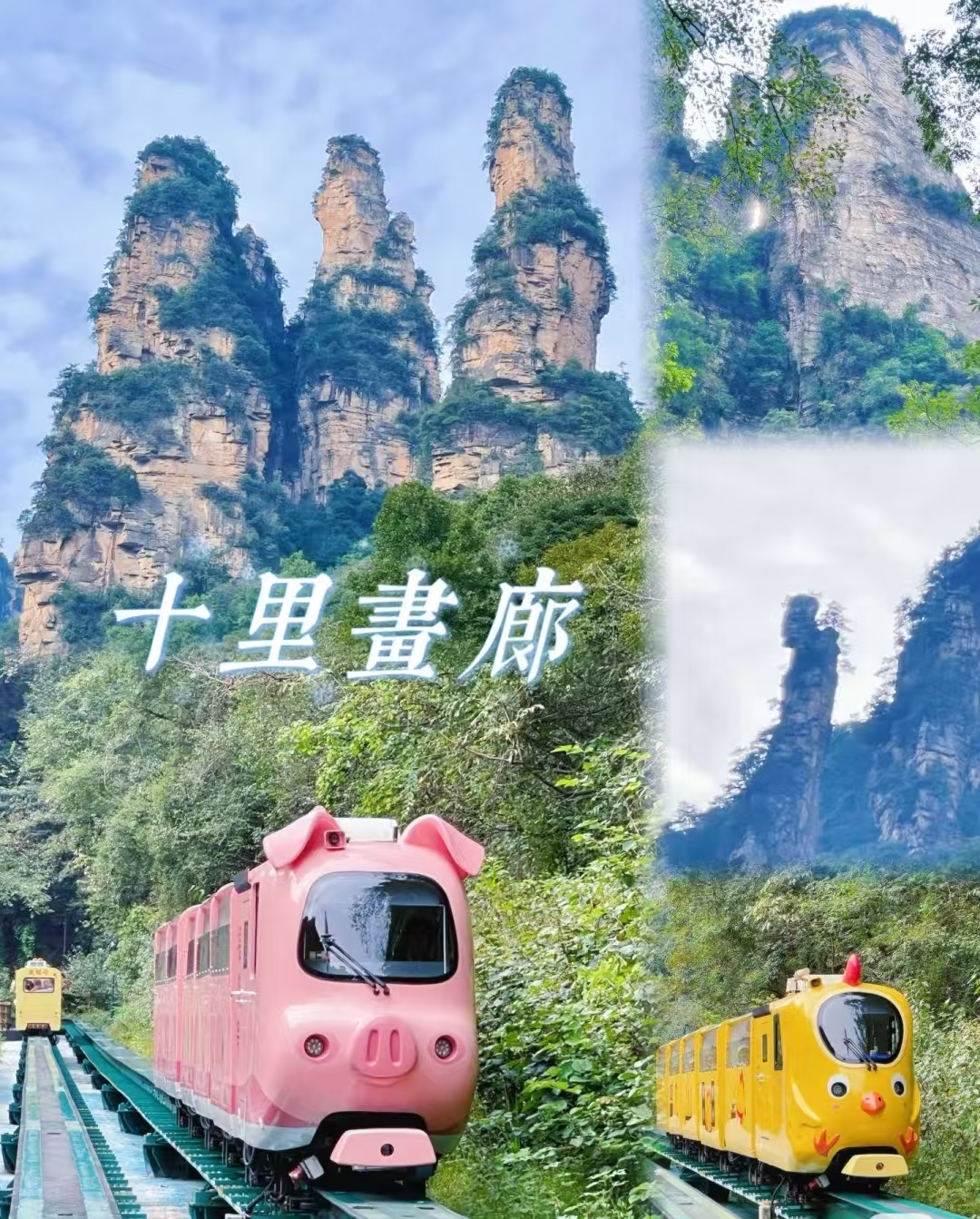 25061310362774202.jpg
