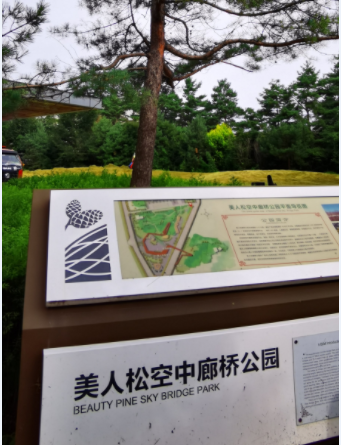 25070815385516516.jpg
