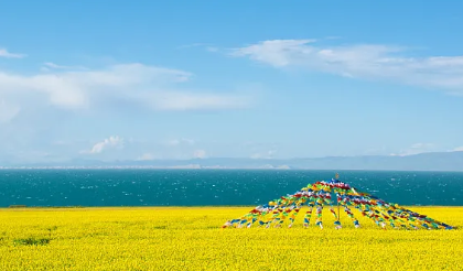 25041816274953155.png
