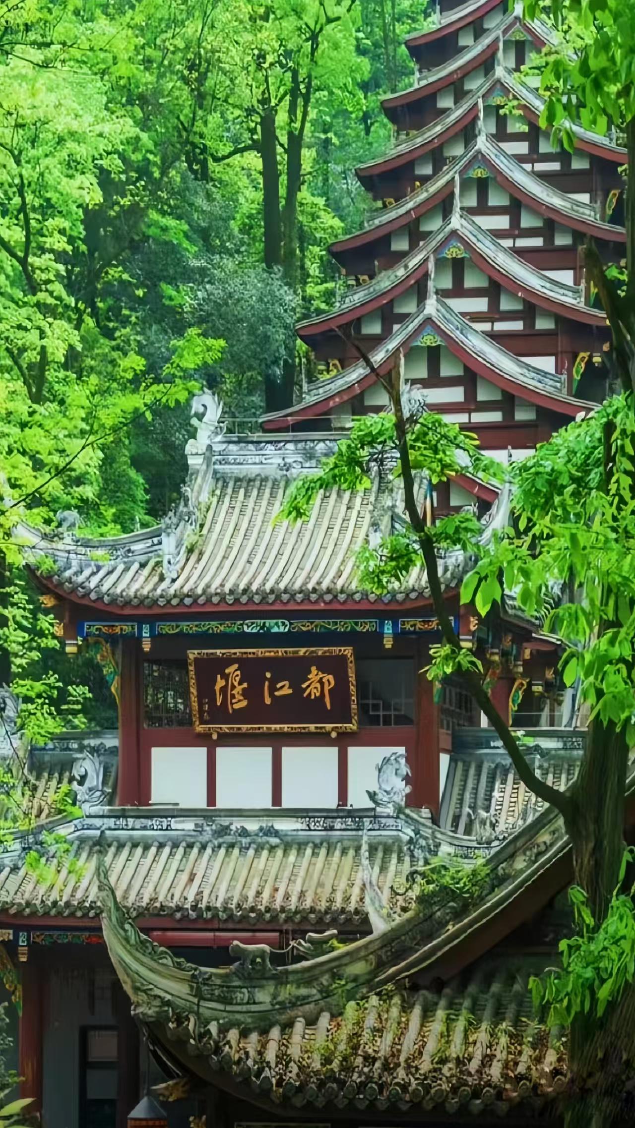 25060618465841619.jpg