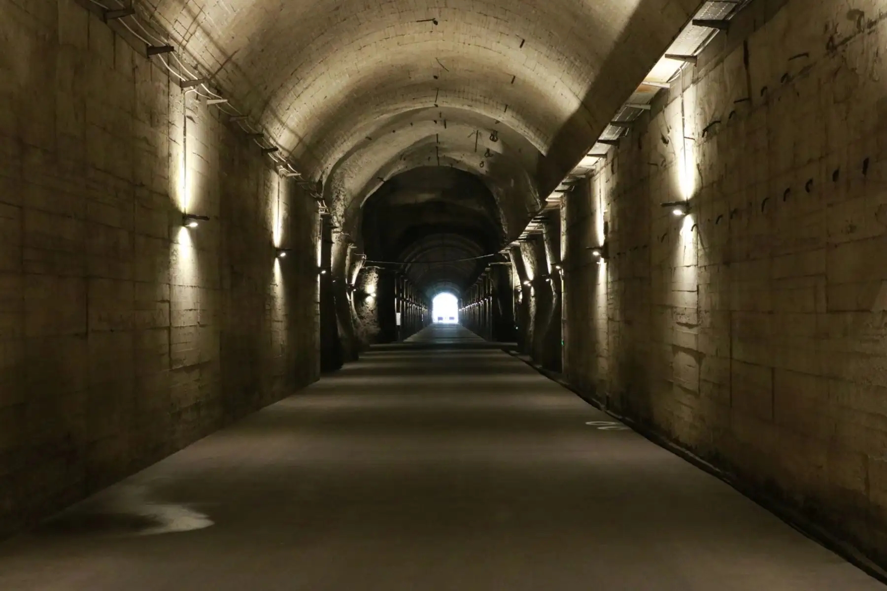 25090514561838884.jpg