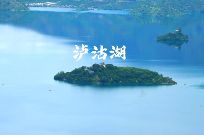 25090523231270455.png
